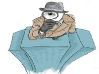 嘉祥县取证公司解说第三者承担离婚赔偿责任吗